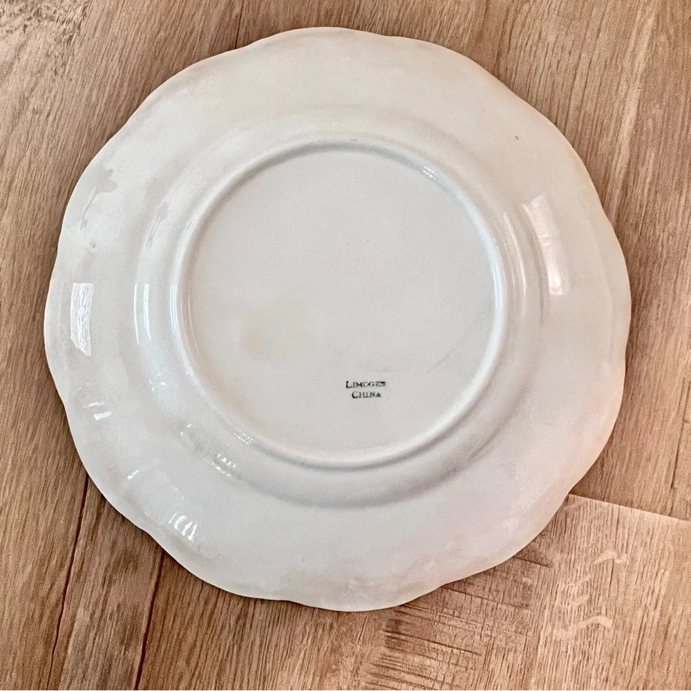Rare Antique Limoges‎ France Hand painted Watermelon Color Apple Plate 10”